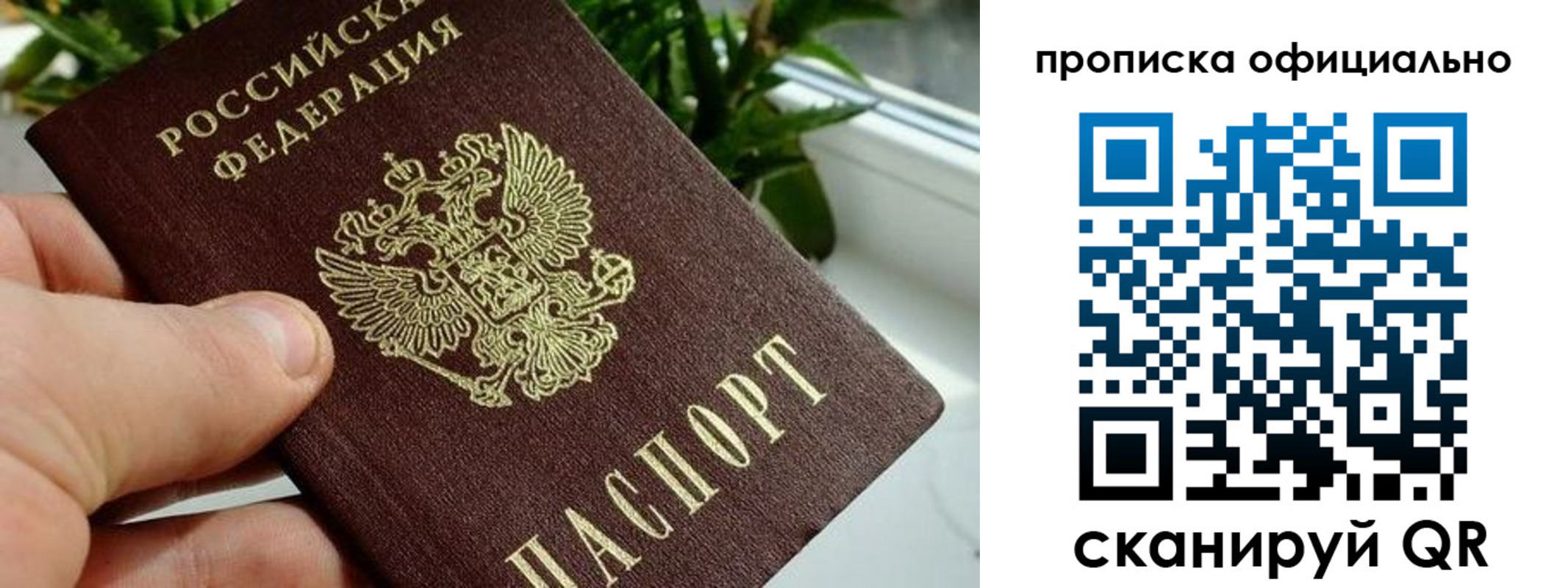 прописка поиск в Подпорожье